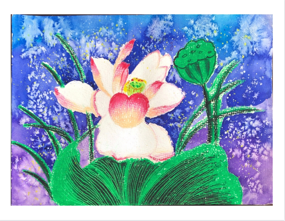 《荷花》熊睿泽.jpg